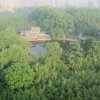 K054 張松蓮---天河酒店旁的公園 綠蔭扶疏，天光雲影、古色古香